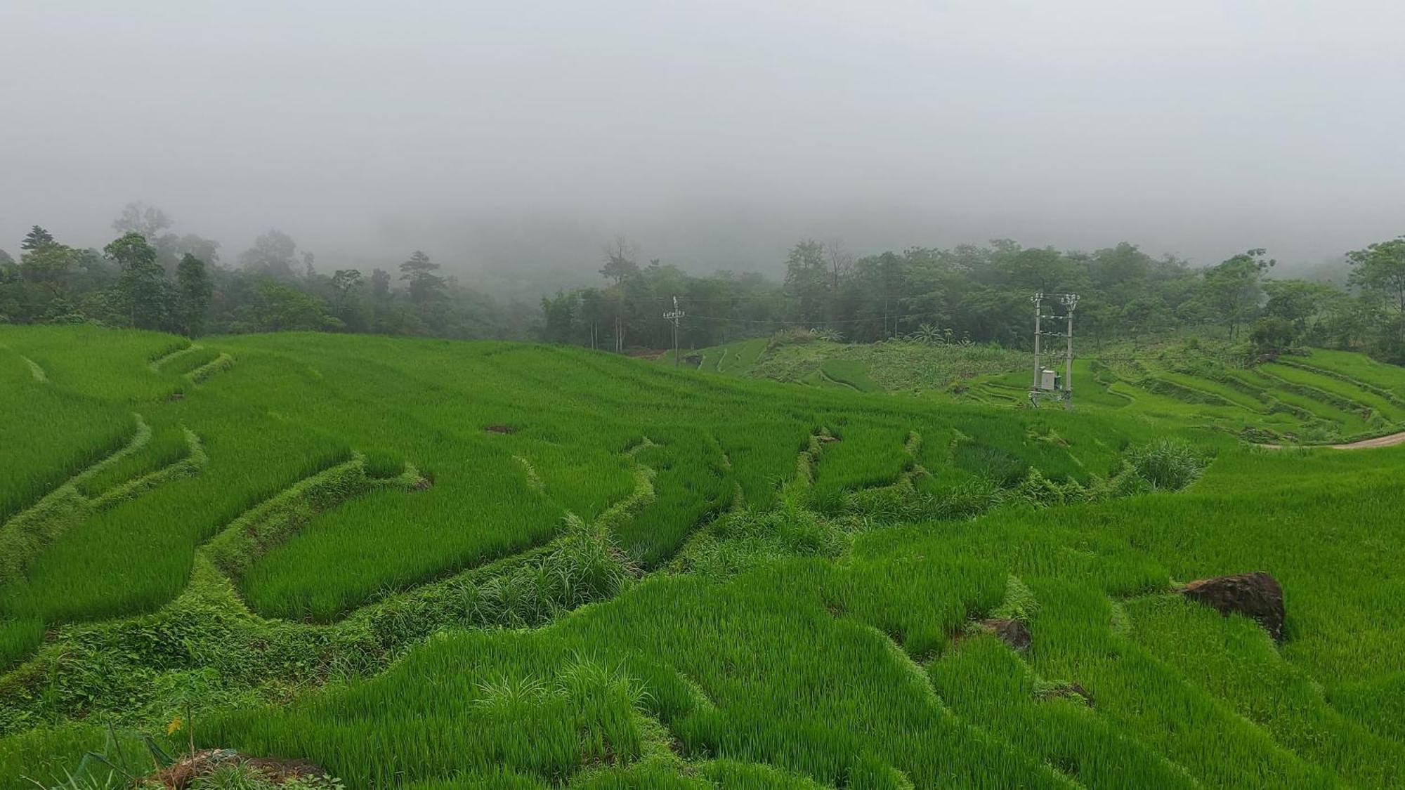 Mai Chau Horizon Homestay Kültér fotó